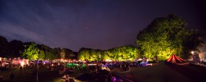 Bacchus Wine Festival at night