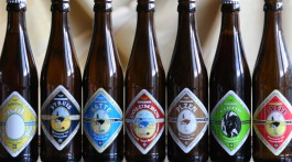 7 beer bottles of different beers of Brouwerij 't IJ