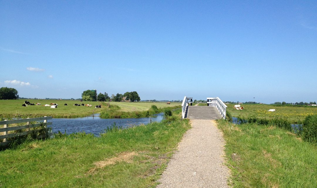 Little bridge in open fields