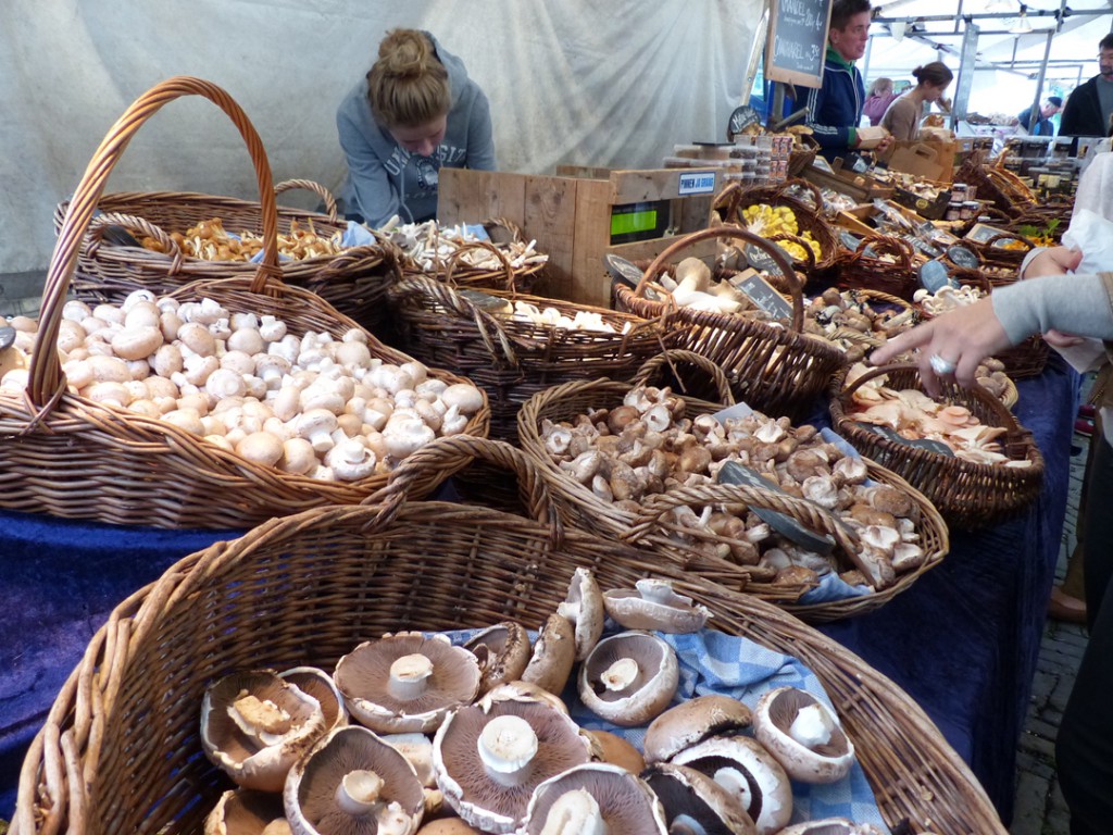 Farmers-market-Noordermarkt_All-sorts-of-mushrooms_Photo-by-Conscious ...