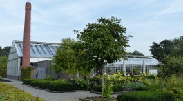 The garden and the greenhouse