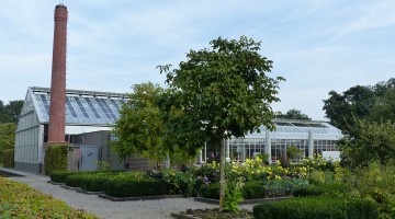 The garden and the greenhouse