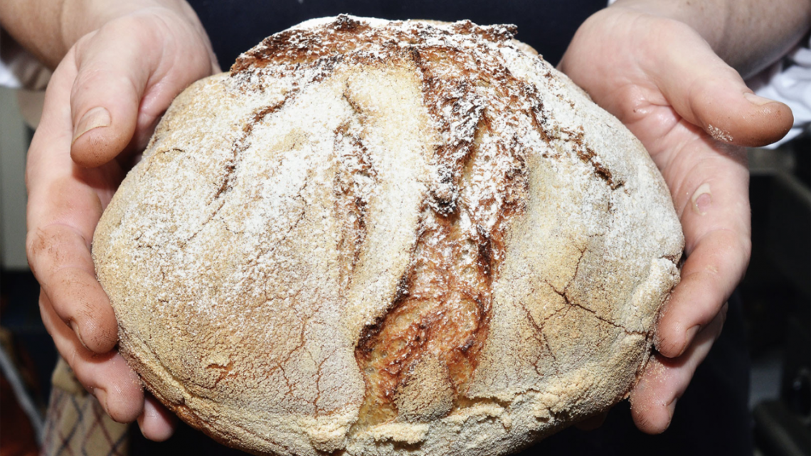 Pianeta Terra's homemade bread