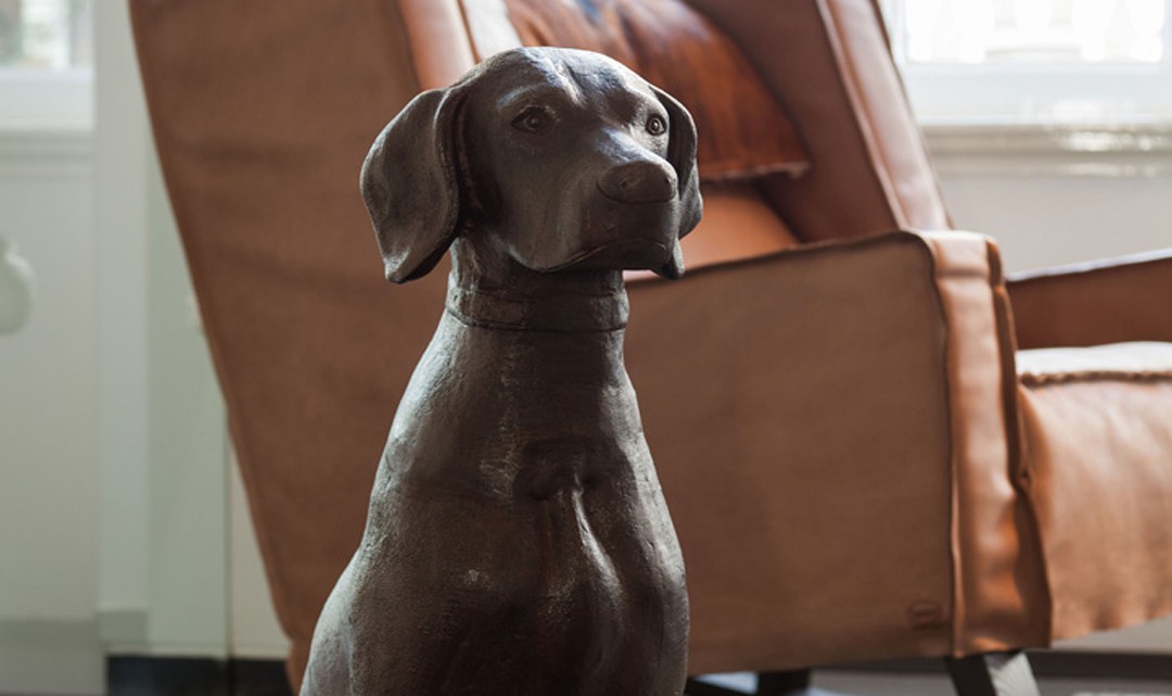 Sir Albert's (statue) dog, Duke, sits in the library