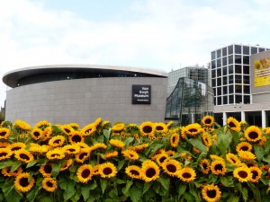 Sunflowers and the new entrance